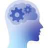 brain_function.png